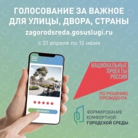 Голосование по выбору населением объектов благоустройства по федеральной программе «Формирование комфортной городской среды»